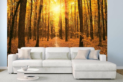 Vlies Fototapete - Goldener Wald 375 x 250 cm